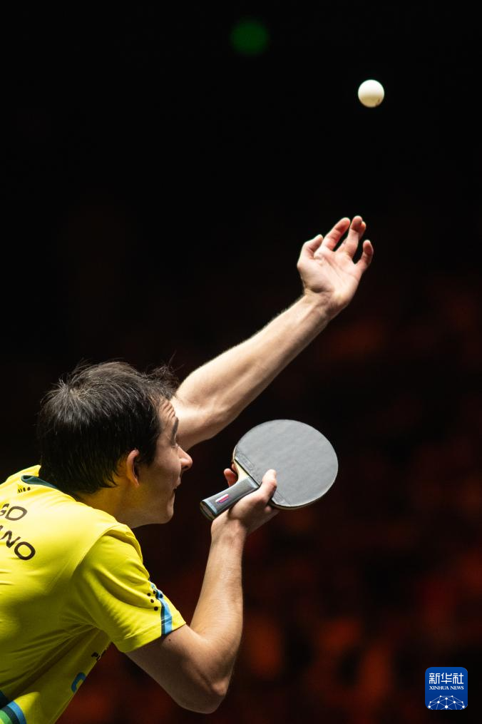 队的球迷也 队的球迷也