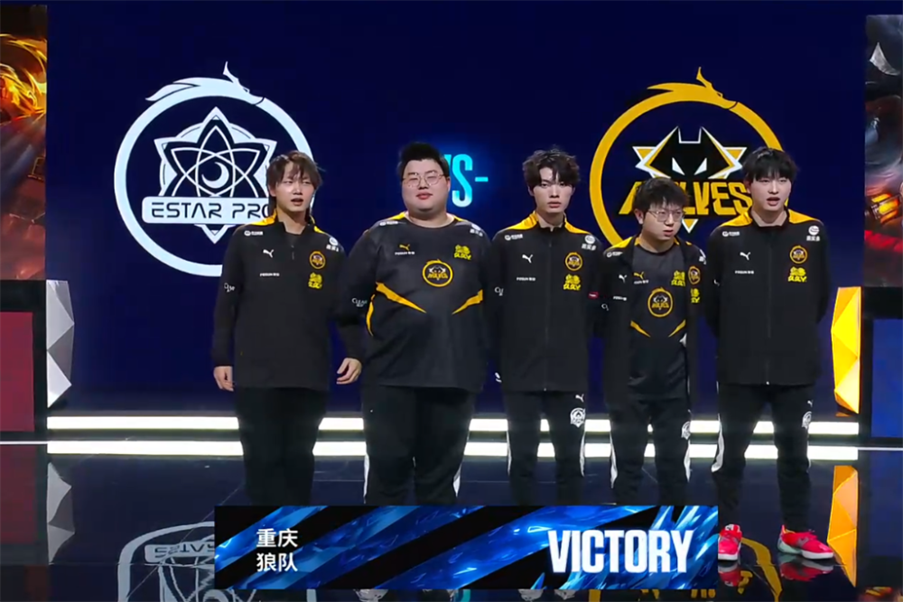 专业人士的 专业人士的