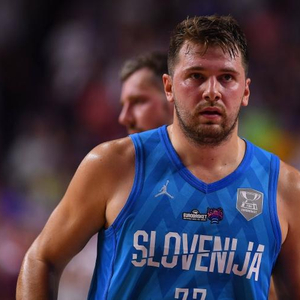 从小电驴属 从小电驴属